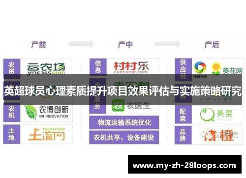 英超球员心理素质提升项目效果评估与实施策略研究