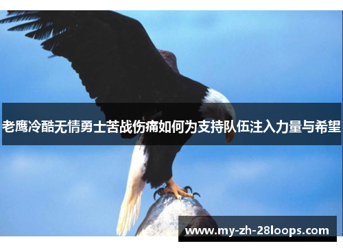 老鹰冷酷无情勇士苦战伤痛如何为支持队伍注入力量与希望