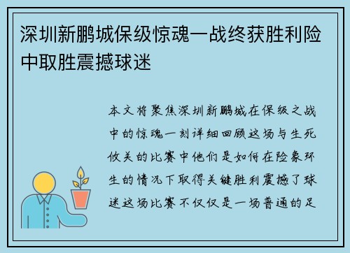 深圳新鹏城保级惊魂一战终获胜利险中取胜震撼球迷 深圳新鹏城保级惊魂一战终获胜利险中取胜震撼球迷